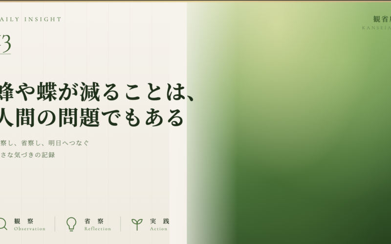 蜂や蝶が減ることは、人間の問題でもある 観省庵 Daily Insight For NGO/NPO 2026年6月21日