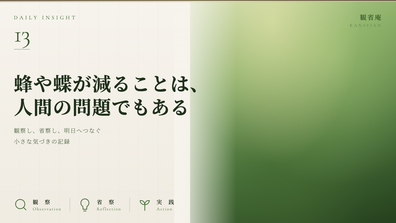 蜂や蝶が減ることは、人間の問題でもある 観省庵 Daily Insight For NGO/NPO 2026年6月21日