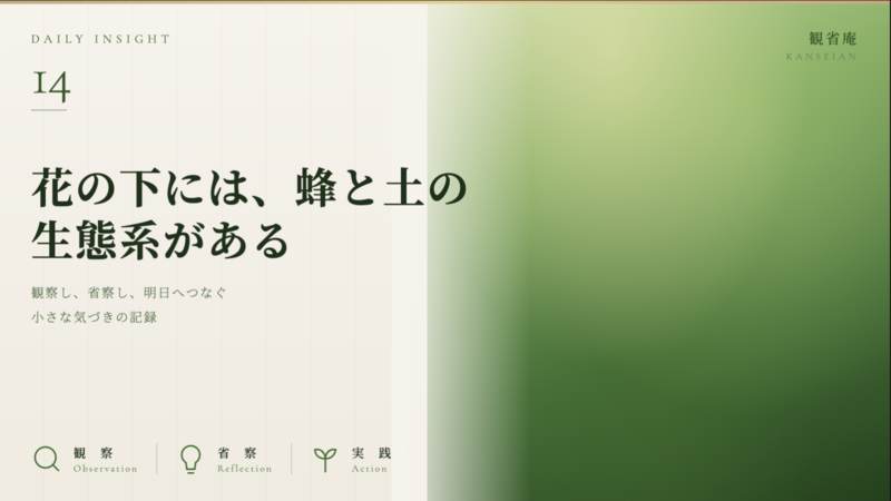 花の下には、蜂と土の生態系がある　観省庵 Daily Insight For NGO/NPO 2026年6月22日