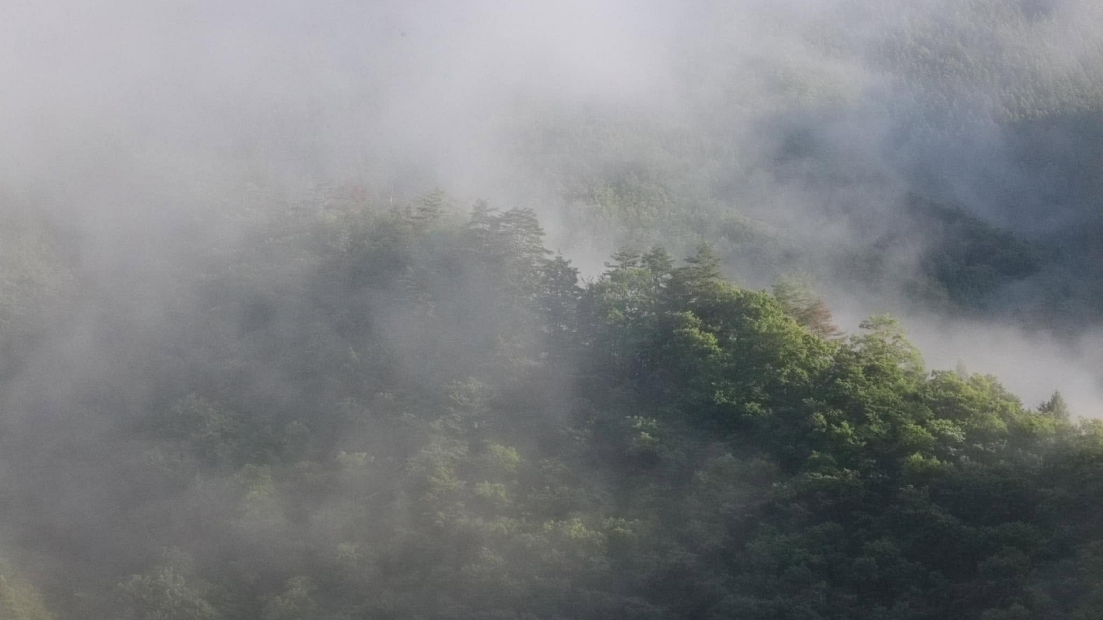 源流生活で感じ得たもの、メタファーとしての応用
