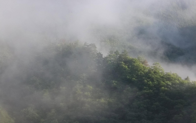源流生活で感じ得たもの、メタファーとしての応用