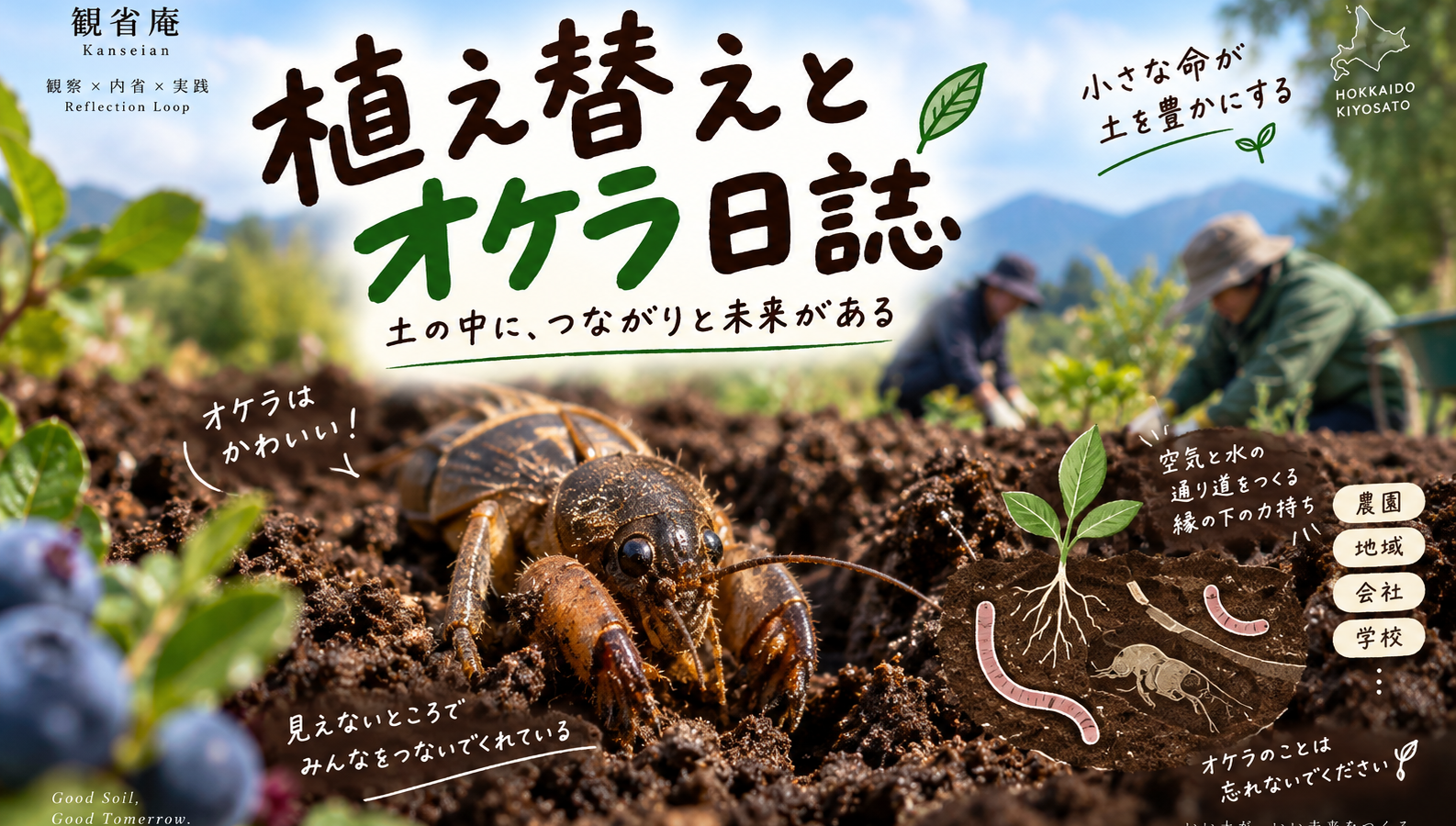 植え替えとオケラ日誌